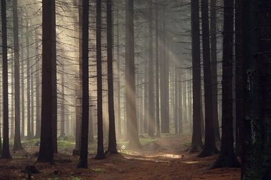 The 50 Best Desktop Wallpapers For 2013