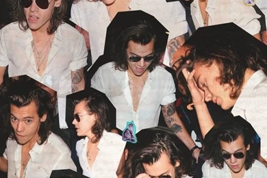 1d, Boys, Celebrities, Guys, Harry   Image