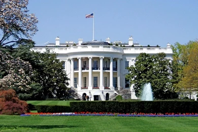 The White House   (
