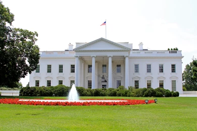 466935 White House Wallpapers