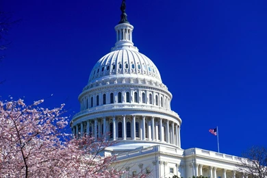 The White House Wallpapers