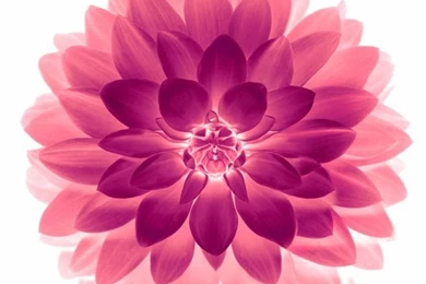 IPHONE WALLPAPER / BACKGROUNDS On Pinterest