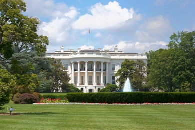 Favorite Wallpapers – One Particular Harbour By Dave Darby