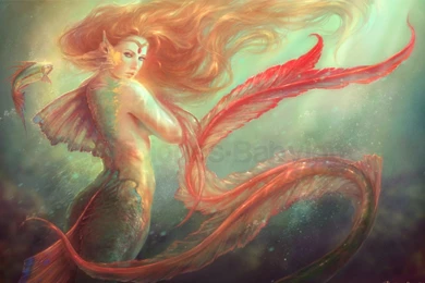 137 Mermaid HD Wallpapers