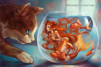 Cat Fish Mermaid Animal Fantasy Hd Wallpaper Backgrounds Image ...