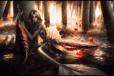 137 Mermaid HD Wallpapers