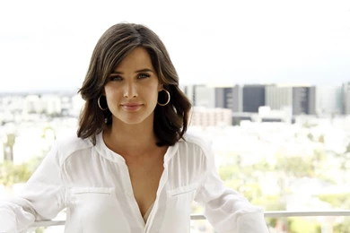 Cobie Smulders Wallpapers High Resolution And Quality Download