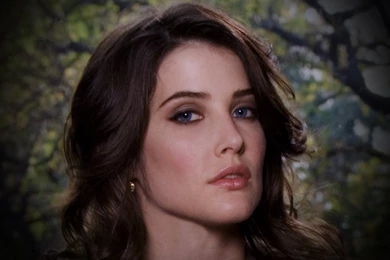Cobie Smulders Hd Wallpapers