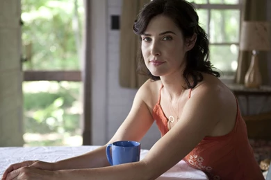 Cobie Smulders BEAUTIFUL.jpg