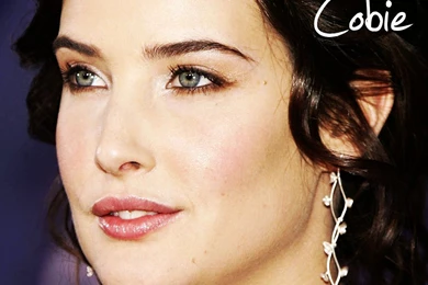 Cobie   Cobie Smulders Wallpapers (2617459)   Fanpop