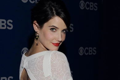 Cobie Smulders   Cobie Smulders Wallpapers (33244460)   Fanpop