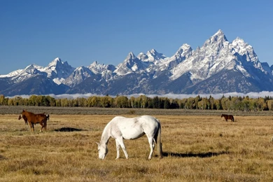 Super Grand Teton National Park Wallpapers