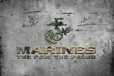 RePin Image: Usmc Desert Digi Camo Ega By On Pinterest