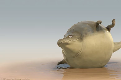 Rollin' Wild   Official Website