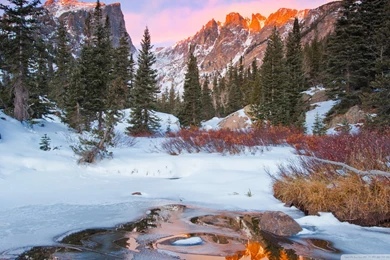 Download Young Wild And Free Wallpapers 1920x1080