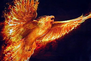 Fire Eagle Wallpapers Picture. Eagle Wallpapers Com. 1600x1200px ...