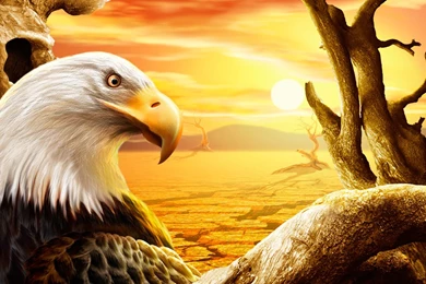 Download Free Desert Eagle Wallpapers Photo Manipulation PSD ...