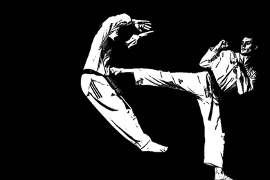Martial Arts Wallpapers   Wallpapers Cave