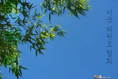 Welcome To ATAcards.com   Free Wallpapers!