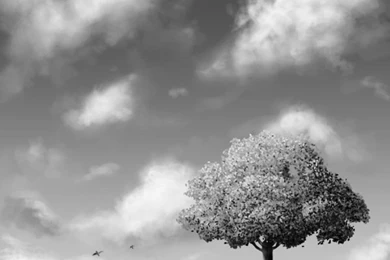 Kobo Wallpapers On Pinterest