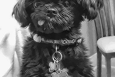 Kindle Wallpapers   600x800 By MarkofHumble On DeviantArt