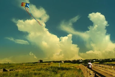 KITE FLYER WALLPAPER (