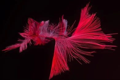 3D, Cinema 4D, Blender, Glass Wallpapers HD / Desktop And Mobile ...