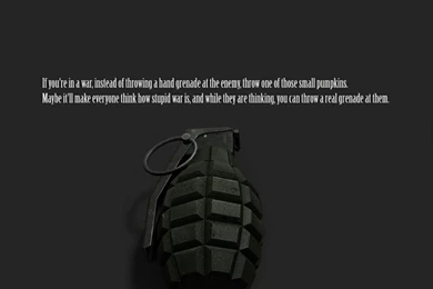 Text Humor Funny Grenades 1024x768 Wallpapers – Entertainment Funny ...