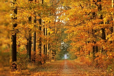 Wiccan Pics 18276 Hd Pictures