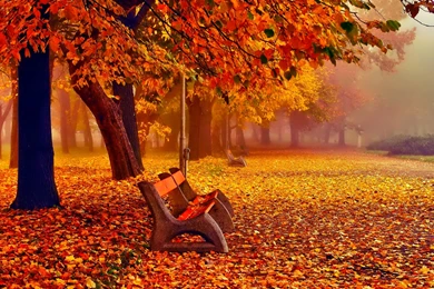 November Backgrounds Hd Images
