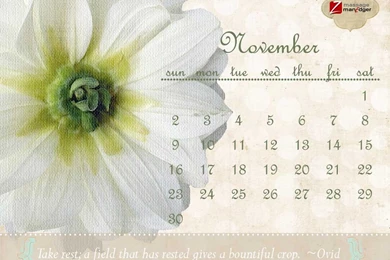 Free Online Wallpapers For Desktop