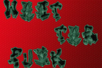 WHAT THE FUCK Wallpapers By IYellAtYou On DeviantArt