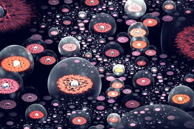 Indian Carpet By SvetlanaIvanova On DeviantArt