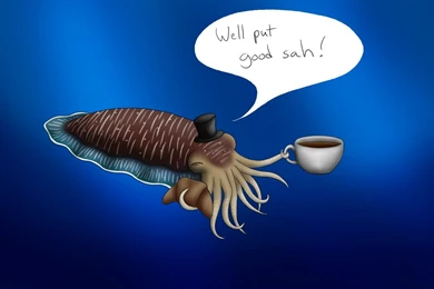 Concept Design Home: Cute Baby Cuttlefish Pictures