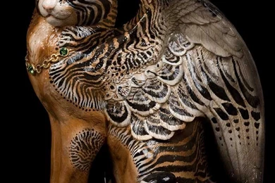 Cuttlefish   DeviantArt