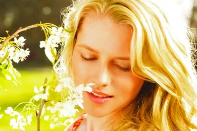 Teresa Palmer Hot Favrit Hd Wallpapers   Free Hd Wallpapers