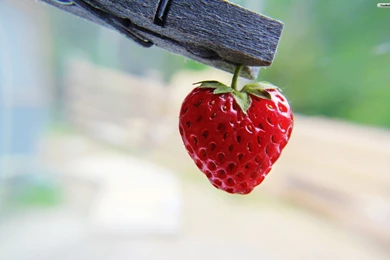 Strawberry Wallpapers   Wallpapers Cave