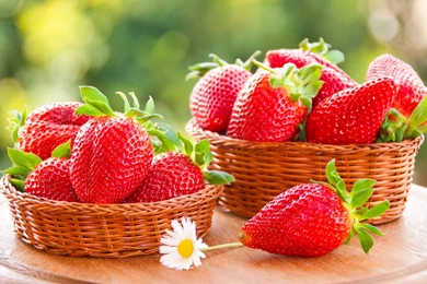 HD Cute Strawberries Fruit Basket Backgrounds Wallpapers Full Size ...