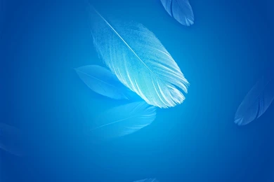 Xiaomi Mi 3 HD Wallpapers