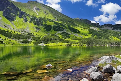 PC Hd Wallpapers Free Download Photos