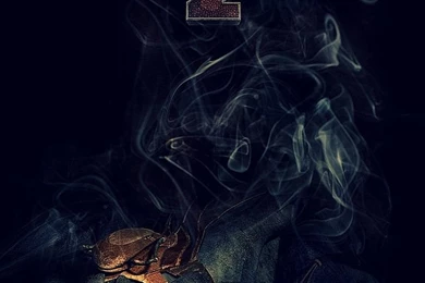 How To Train Your Dragon 2 Wallpapers By On @deviantART ~ IT'S ...