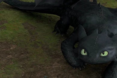 Image   Toothless HD Wallpapers By Kiokel.png   How To Train Your ...