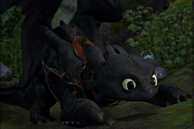★ Toothless ☆   How To Train Your Dragon Wallpapers (32987223 ...