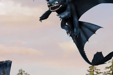 Download Wallpapers 640x1136 How To Train Your Dragon, Toothless ...