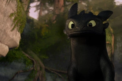 How To Train Your Dragon Wallpapers Toothless 13 Widescreen ...
