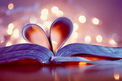 Love Images Desktop Backgrounds Wallpapers Attachment 5308   HD ...