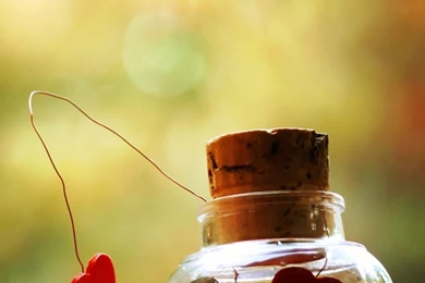 Download Free Love Mobile Phone Wallpapers For All Mobile Phones ...