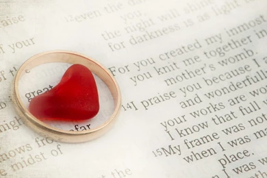 Download Sweet Love Thmem HD Android Phone Wallpapers