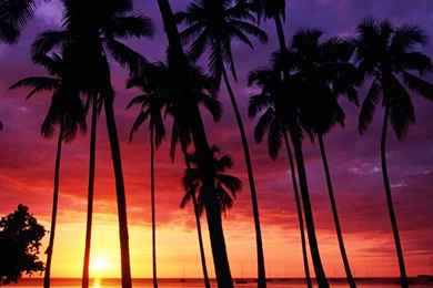 Sunset Beach HD Wallpapers ~ Toptenpack.com