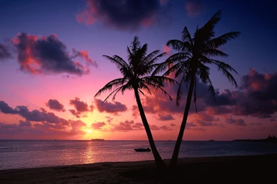 Tropical Island Beach Sunset   Wallpaper.
